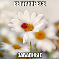 вы такие все забавные