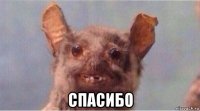  спасибо