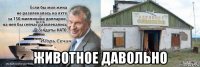  животное давольно