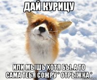 дай курицу или мышь хотя бы. а то сама тебя сожру * отрыжка *