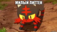 милый литтен 
