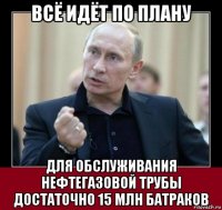 всё идёт по плану для обслуживания нефтегазовой трубы достаточно 15 млн батраков