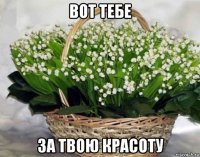 вот тебе за твою красоту