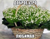 доброе утро любимая