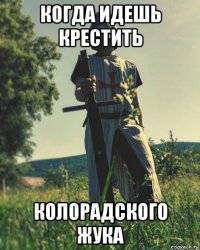когда идешь крестить колорадского жука