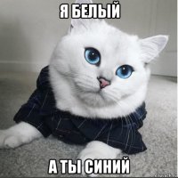 я белый а ты синий