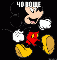 чо воще 