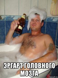  эргарт головного мозга