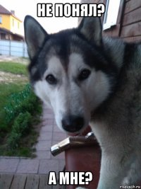 не понял? а мне?