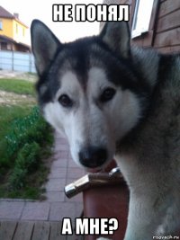 не понял а мне?