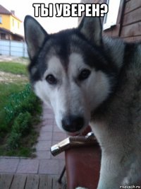 ты уверен? 