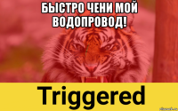 быстро чени мой водопровод! 