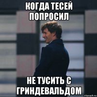 когда тесей попросил не тусить с гриндевальдом