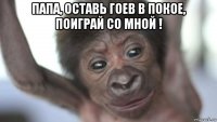 папа, оставь гоев в покое, поиграй со мной ! 
