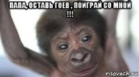 папа, оставь гоев , поиграй со мной !!! 