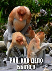  рай. как дело было !!
