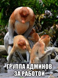  группа админов за работой
