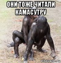 они тоже читали камасутру 