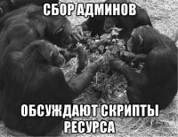 сбор админов обсуждают скрипты ресурса
