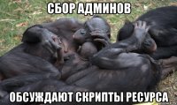 сбор админов обсуждают скрипты ресурса