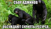 сбор админов обсуждают скрипты ресурса