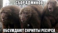 сбор админов обсуждают скрипты ресурса