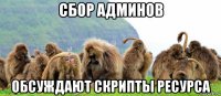 сбор админов обсуждают скрипты ресурса