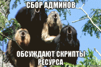 сбор админов обсуждают скрипты ресурса