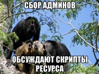 сбор админов обсуждают скрипты ресурса