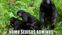 homo sexisus adminus