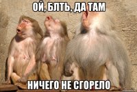 ой, блть, да там ничего не сгорело