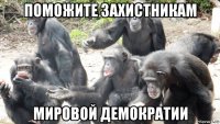 поможите захистникам мировой демократии