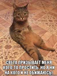  света призывает меня кого-то простить. но я ни на кого и не обижаюсь!