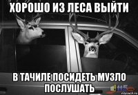 хорошо из леса выйти в тачиле посидеть музло послушать