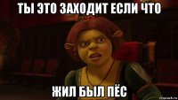 ты это заходит если что жил был пёс