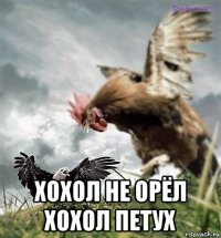  хохол не орёл хохол петух