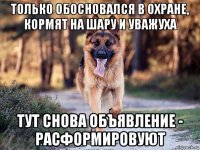 только обосновался в охране, кормят на шару и уважуха тут снова объявление - расформировуют