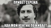 привет сережа как мой кентик поживает