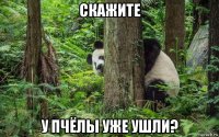 скажите у пчёлы уже ушли?