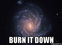  burn it down