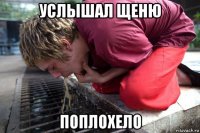 услышал щеню поплохело