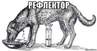 рефлектор 