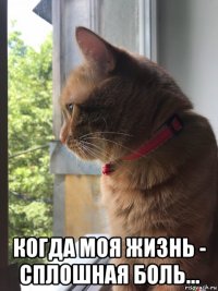  когда моя жизнь - сплошная боль...