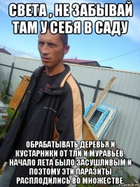 света , не забывай там у себя в саду обрабатывать деревья и кустарники от тли и муравьёв. начало лета было засушливым и поэтому эти паразиты расплодились во множестве.