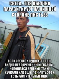 света , тля обычно паразитирует на нижней стороне листьев если зрение хорошее, то тлю видно невооружённым глазом - копошатся зелёные такие кучками как вши. по факту это и есть растительные вши.