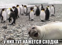  у них тут кажется сходка