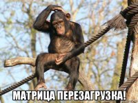  матрица перезагрузка!