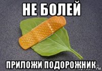 не болей приложи подорожник