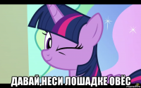  давай,неси лошадке овёс
