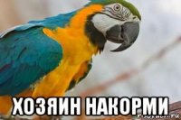  хозяин накорми